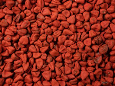 Annatto tohumları, fındık tohumları bixa orellana arka planı. Yemek ve yemek pişirmek için doğal boya. Yakın plan. yiyecek arka planı