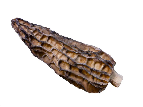 Super Macro Shoot Dried Morel Mushrooms Very Close Detail Ideal — Stock Photo, Image