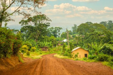 Afrika yağmur ormanları ve ormanlarından geçen toprak ve çakıllı bir yol. Braun kahverengi toprak yol köyü.