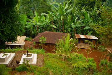 Afrika yağmur ormanları ve ormanlarından geçen toprak ve çakıllı bir yol. Braun kahverengi toprak yol köyü.