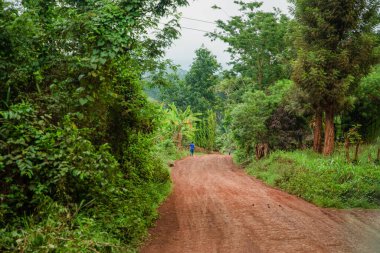 Afrika yağmur ormanları ve ormanlarından geçen toprak ve çakıllı bir yol. Braun kahverengi toprak yol köyü.