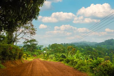 Afrika yağmur ormanları ve ormanlarından geçen toprak ve çakıllı bir yol. Braun kahverengi toprak yol köyü.