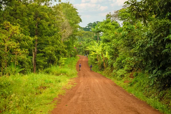 A dirt and gravel road leading through the african rainforest and jungle of Africa. Braun brown dirt road village