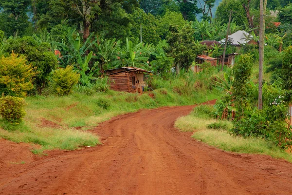 Dirt Gravel Road Leading African Rainforest Jungle Africa Braun Brown — Stock Photo, Image