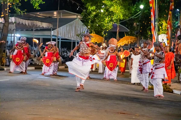 Colombo Sri Lanka Februar 2023 Großer Karnevalsumzug Mit Elefanten Und — Stockfoto