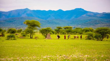 Arusha, Tanzanya, Afrika. 4 Şubat 2022 'de Afrika köyünde yaşam. Afrika ve seyahat kavramı