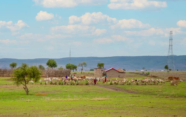 stock image Arusha, Tanzania, Africa. February 04, 2022.life in the African village. African and travel concept