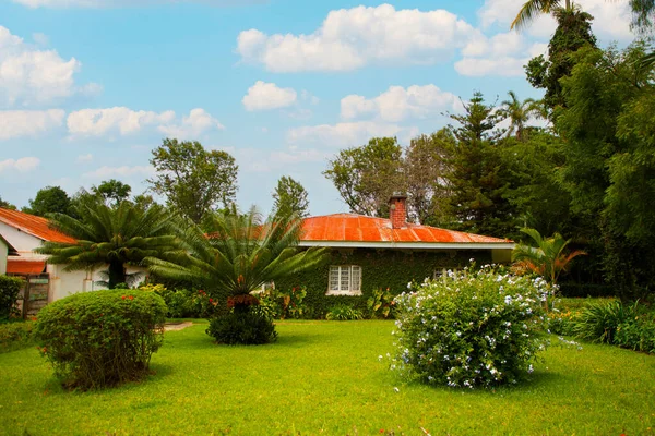 Arusha Tanzania Africa February 2022 Nice House Landscaped Garden Arusha — Stock Photo, Image