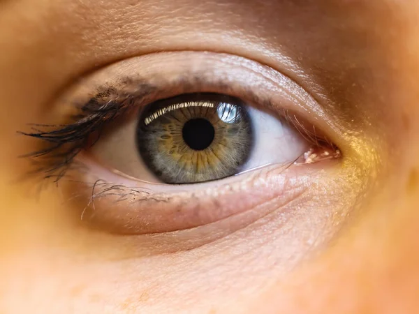 Makrobild Det Mänskliga Ögat Ögonsjukvård Skönhet Och Kosmetika Koncept — Stockfoto