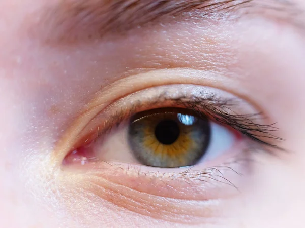 Makrobild Det Mänskliga Ögat Ögonsjukvård Skönhet Och Kosmetika Koncept — Stockfoto
