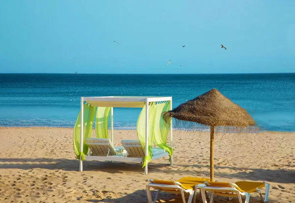 Reihen Von Liegestühlen Und Sonnenschirmen Sandstrand Entlang Der Algarve Portugal — Stockfoto