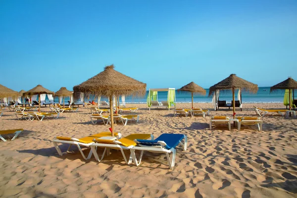포르투갈의 알가르베를 해변에 의자와 우산들이 줄지어 있습니다 — 스톡 사진
