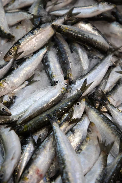 stock image fish stall at a market in Portugal. Fresh chilled variety fish concept