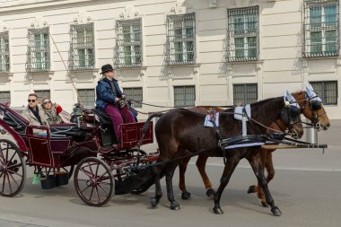 Viyana, Avusturya, 6 Nisan 2019. Şehir merkezi. At arabalı şehir turu. Avrupa seyahat kavramı
