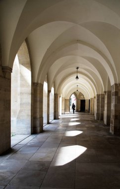 Viyana, Avusturya, 6 Nisan 2019. Şehir merkezi. Güneş ışığı sütunları. Avrupa seyahat kavramı