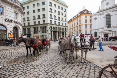 Viyana, Avusturya, 6 Nisan 2019. Şehir merkezi. At arabalı şehir turu. Avrupa seyahat kavramı