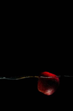 Parlak sulu meyveler ve su sıçramaları siyah bir arka planda akvaryuma uçar.