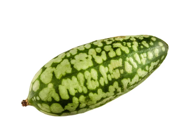 Cucamelon Melothria Scabra Mexikani Minimelone Mausmelon Egy Fehér Nagyon Kökény — Stock Fotó