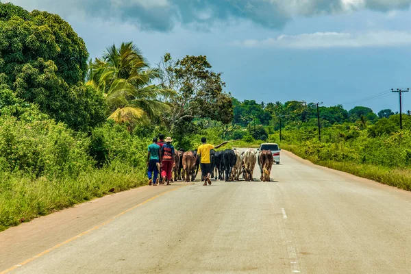 Zanzibar, Tanzanya. 27 Mart 2018. Geleneksel Afrika yolu ve insanlar işlerine devam ediyorlar.