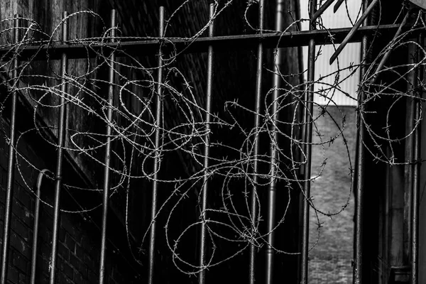 Barbed Wire Metal Fence Gloomy Dark Background — Stock Photo, Image