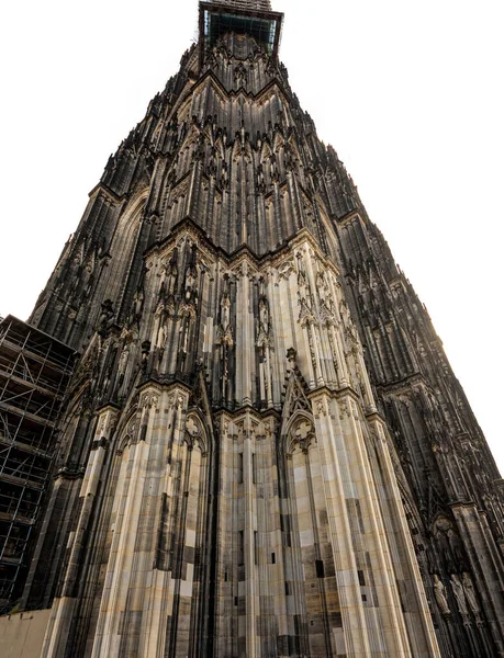 Кельн Німеччина Лютого 2019 Року Вид Кельнський Собор Незвичайного Кута — стокове фото