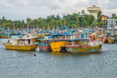 Beruwala, Sri Lanka 03 Şubat 2023. Beruwala Limanı 'ndaki balıkçı tekneleri. parlak renkli geleneksel Sri Lankalı balıkçı tekneleri sarı kumlu okyanus kıyısında duruyor