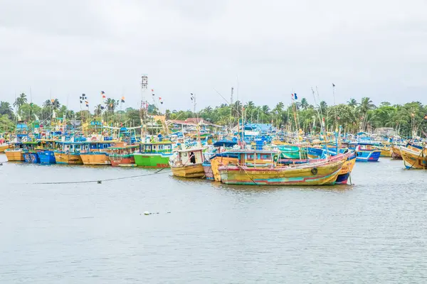 Берувала Шри Ланка Февраля 2023 Года Рыбацкие Лодки Стоят Гавани — стоковое фото