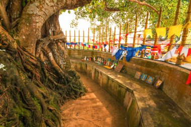 Beruwala,Sri Lanka. 02 Şubat 2023. Kande Viharaya Tapınağı, Beruwala, Sri Lanka 'daki devasa Buda Heykeli. avlu.