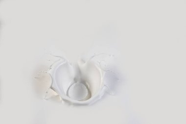 Beyaz arka planda çeşitli süt lekelerinin toplanması. Kozmetik süt, beyaz boya sıçrama, parfüm, damla ve hit konsept.