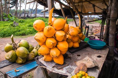 Polonnaruwa, Sri Lanka. 02 Şubat 2023. Sri Lanka yolu boyunca taze tropikal meyvelerle geleneksel tezgahlar. Kola içmek için büyük hindistan cevizleri.