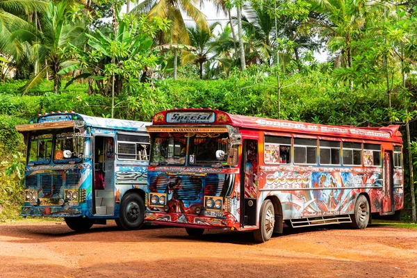 Polonnaruwa Sri Lanka Fevereiro 2023 Ônibus Tradicionais Sri Lanka Dois Fotografias De Stock Royalty-Free
