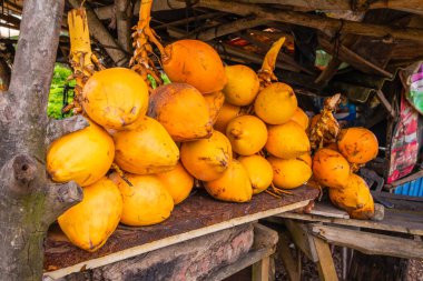 Sri-Lanka 'da açık hava pazarında bir sürü tropikal meyve var. Büyük sarı Hindistan cevizi, hindistan cevizi.