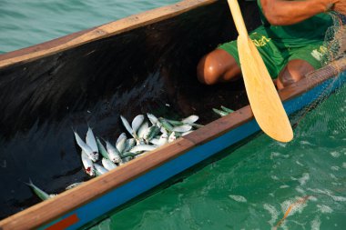 Morondava, Madagaskar. 18 Ekim 2023. Ev yapımı ahşap pirogue teknesindeki kötü niyetli balıkçı ağla balık yakalar. seçici odaklanma, yakın plan taze balık avı