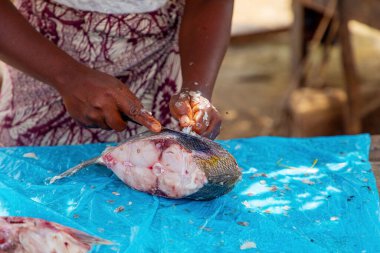 Toamasina, Madagaskar. 18 Ekim 2023. Yerel pazarda taze balık yiyecekler. Kadınlar taze balık temizler ve satar. Eller ve parçalar odak noktasında. Yerel aroma.