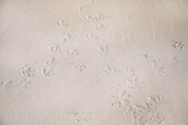 Arka plan için güzel dalgalı kum dokusu plajı, Top view. Yaz tasarımları için, geçmiştekileri kopyalayın. Doğa arkaplan kavramı