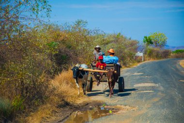 Antsirabe, Madagaskar 19 Ekim 2023. Morondava 'dan Antsirabe' ye giden yol Madagaskar 'ın ortasındaki boş otlaklar ve köyden geçiyor. Zebu tarafından çekilen arabadaki insanlar.