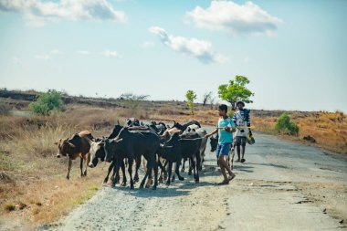 Antsirabe, Madagaskar 19 Ekim 2023. Morondava 'dan Antsirabe' ye giden yol Madagaskar 'ın ortasındaki boş otlaklar ve köyden geçiyor.