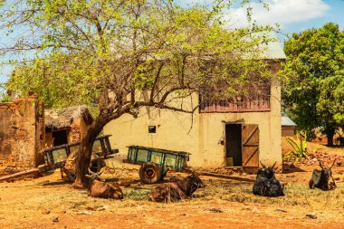 Antsirabe, Madagaskar 19 Ekim 2023. Morondava 'dan Antsirabe' ye giden yol Madagaskar 'ın ortasındaki boş otlaklar ve köyden geçiyor.