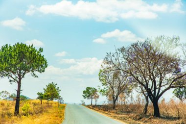 Morondava 'dan Antsirabe' ye giden yol Madagaskar 'ın ortasındaki boş otlaktan geçiyor.