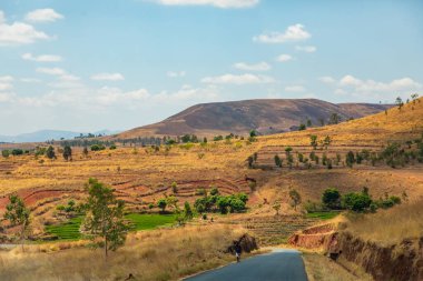 Tipik Madagaskar manzarası. Ana yol boyunca Vohiposa yakınlarındaki küçük tepelerde yeşil ve sarı pirinç tarlaları. yeşil çimen ve parlak toprak