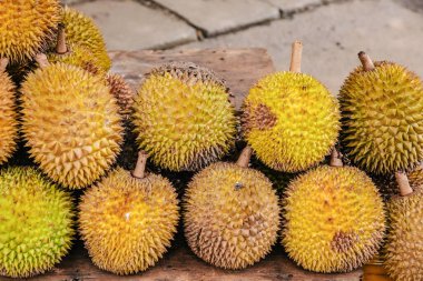 Olgun sarı durian meyveleri ahşap tezgahın üzerinde katlanmış satılıktır. Sri Lanka 'nın geleneksel meyveleri