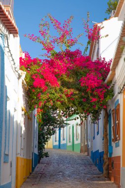 Ferragudo, Algarve, Portekiz. 26 Eylül 2020. Portekiz 'in Ferragudo balıkçı köyündeki Bougainvillea çiçekleriyle süslenmiş dar sokaklardaki kiremitli çatıları olan geleneksel beyaz evler.