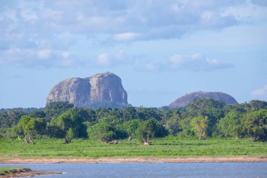 Dağları ve otlayan hayvanları olan güzel Sri Lanka manzarası