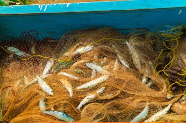 Batavia, batı Madagaskar, Toliara vilayeti. 18 Ekim 2023. Madagaskar sakinleri geleneksel balıkçı köyü