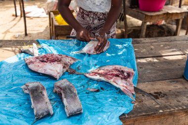 Toamasina, Madagaskar. 18 Ekim 2023. Yerel pazarda taze balık yiyecekler. Kadınlar taze balık temizler ve satar. Eller ve parçalar odak noktasında. Yerel aroma.