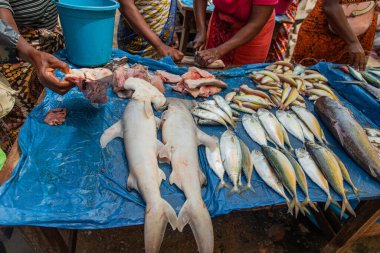 Toamasina, Madagaskar. 18 Ekim 2023. Yerel pazarda taze balık yiyecekler. Kadınlar taze balık temizler ve satar. Eller ve parçalar odak noktasında. Yerel aroma.