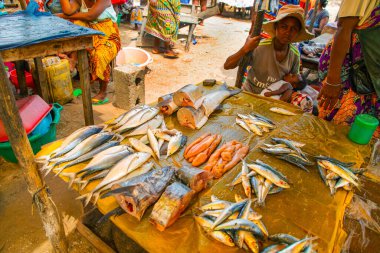 Toamasina, Madagaskar. 18 Ekim 2023. Yerel pazarda taze balık yiyecekler. Kadınlar taze balık temizler ve satar. Eller ve parçalar odak noktasında. Yerel aroma.