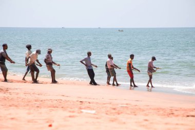 Unawatuna, Sri Lanka 09 Şubat 2023 'te farklı renklerde yaz kıyafetleri giyen bir grup adam balıkçıların Güney Sri Lanka sahilindeki büyük balık ağını çekmelerine yardım ediyor. Sıkı takım çalışması..