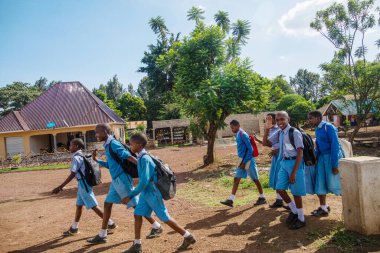 Arusha, Tanzanya, Afrika. 01 Şubat 2022. Mavi okul üniformalı Tanzanyalı çocuklar yol boyunca yürür