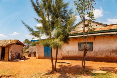 Antsirabe bölgesi, Madagaskar. 20 Ekim 2023. Madagaskar yolları. Antsirabe 'den küçük köylere giden yol, yol boyunca evler, çiftlik hayvanları, pirinç tarlaları, günlük yaşam Malagasy